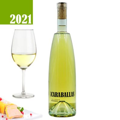 Caraballas Verdejo Ecológico 2021 Organic Wine